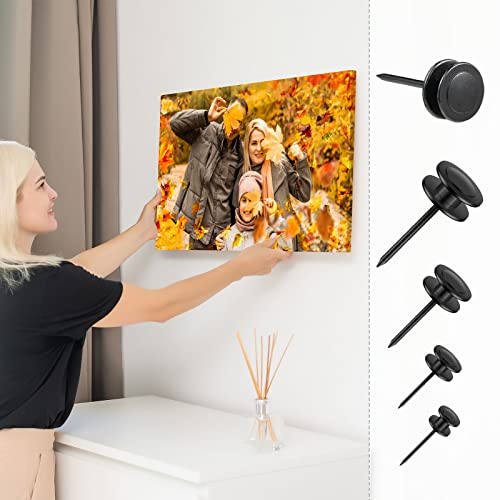 Image of Ferraycle 40 Piece Double Headed Picture Hangers Nails 4 Size Thumb Tacks for Wall Hanging Renter Friendly Decor Heavy Duty Push Pins Wall Nails for Drywall Frame Art, 10 /20 / 30 / 50lb(Black)