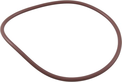 Miniatura 2 de Pentair R172240 Tapa a la vivienda Junta tórica Reemplazo Arco Iris Alta Capacidad Automático Cloro/Bromo Piscina y Spa Alimentador