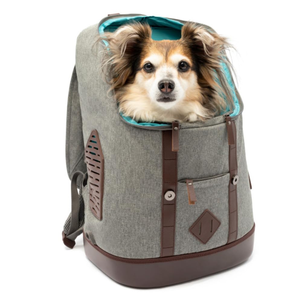 Kurgo Hundetransportrucksack für kleine Haustiere - Tragbarer Haustier-Reiserucksack - Armorsole-Basis - Umwandelbarer Rucksack zu Transportbox - Robuster Haustierrucksack - Heather Grey
