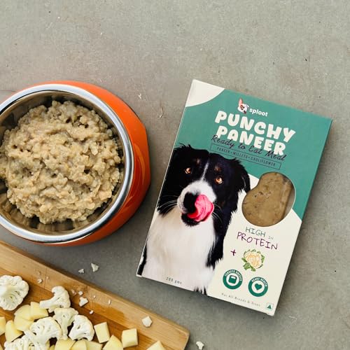 Image of Veg Wet Dog Food - 100% Vegetarian - Paneer and Millets Gravy Meal for Pets - for Adult Dogs and Puppy - Real Paneer, Millets, High Protein, Fresh Ingredients - Ready to eat Meal - 200g