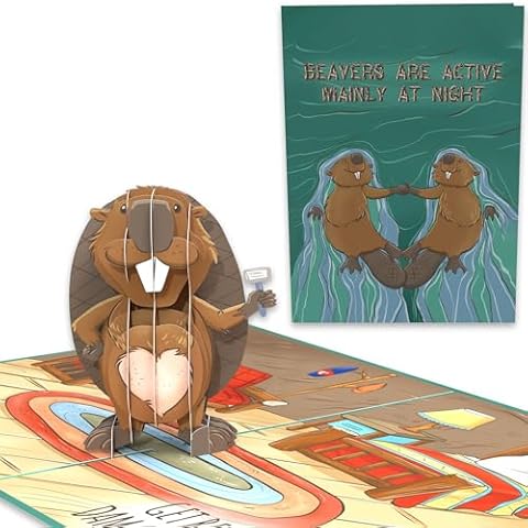 Funny Anniversary Card | 3D Pop Up Cards of a Naughty Beaver | 1st Wedding Anniversary Cards for Husband | Valentines Day Card for Men From Wife | Romantic Birthday Card for Boyfriend From Girlfriend Cover