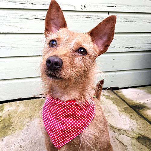 Dimples Hundehalstuch Bayern Raute - Handgemachtes Halstuch Weiß Blau Für Hunde