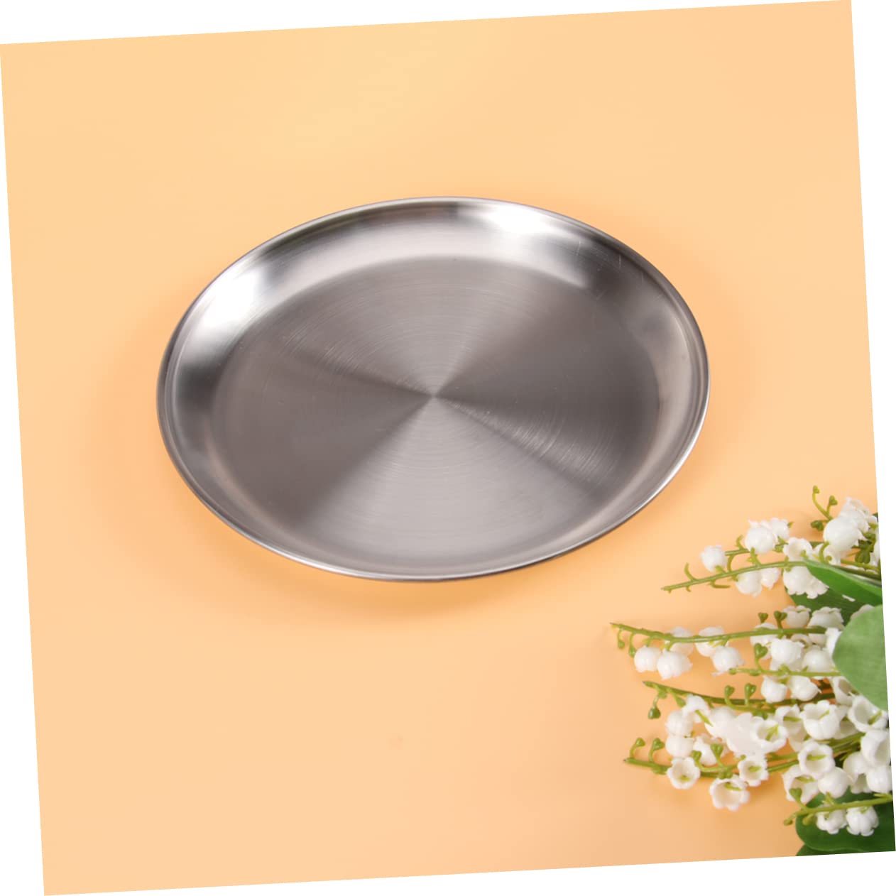 Unomor 20cm Round 304 Stainless Steel Plate Korean Style Barbecue Fruit Plate Flat Chassis Lightweight