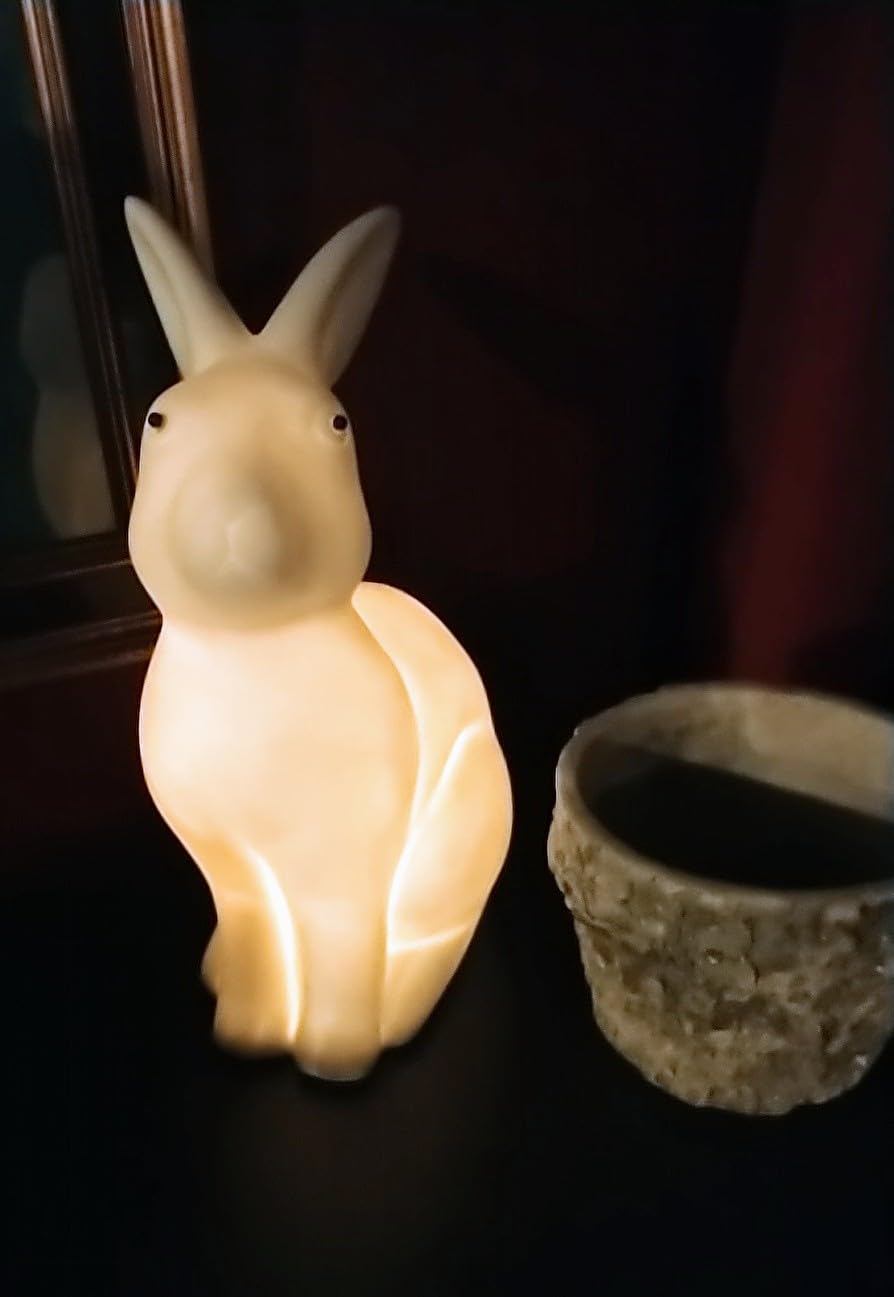 Adorable bunny lamp!