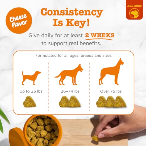 Image of Zesty Paws Hemp Dog Allergy Chews - Dog Allergy Relief, Cheese, 90 Ct