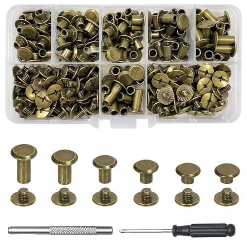 Xiaoxiaozhijia 110 Stück M5 Chicago Schrauben-Set