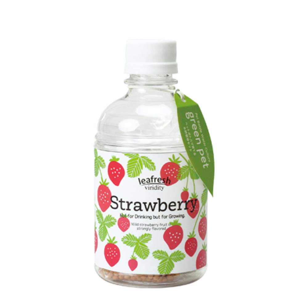 Amazon｜ITANSE 育てるグリーンペット ワイルドストロベリー 1個