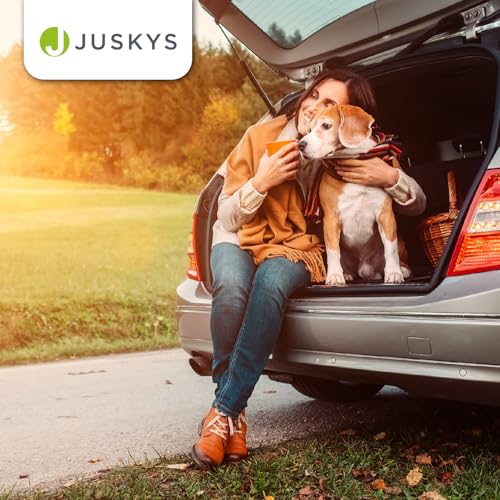 Juskys Hundetransportbox Lassie M faltbar & tragbar 42x60x44 cm mit Decke, Tasche & Griffen - Faltbare Transportbox für Hunde, Katzen & Haustiere - Oxford Stoff Hundebox Auto Hundetasche - Beige