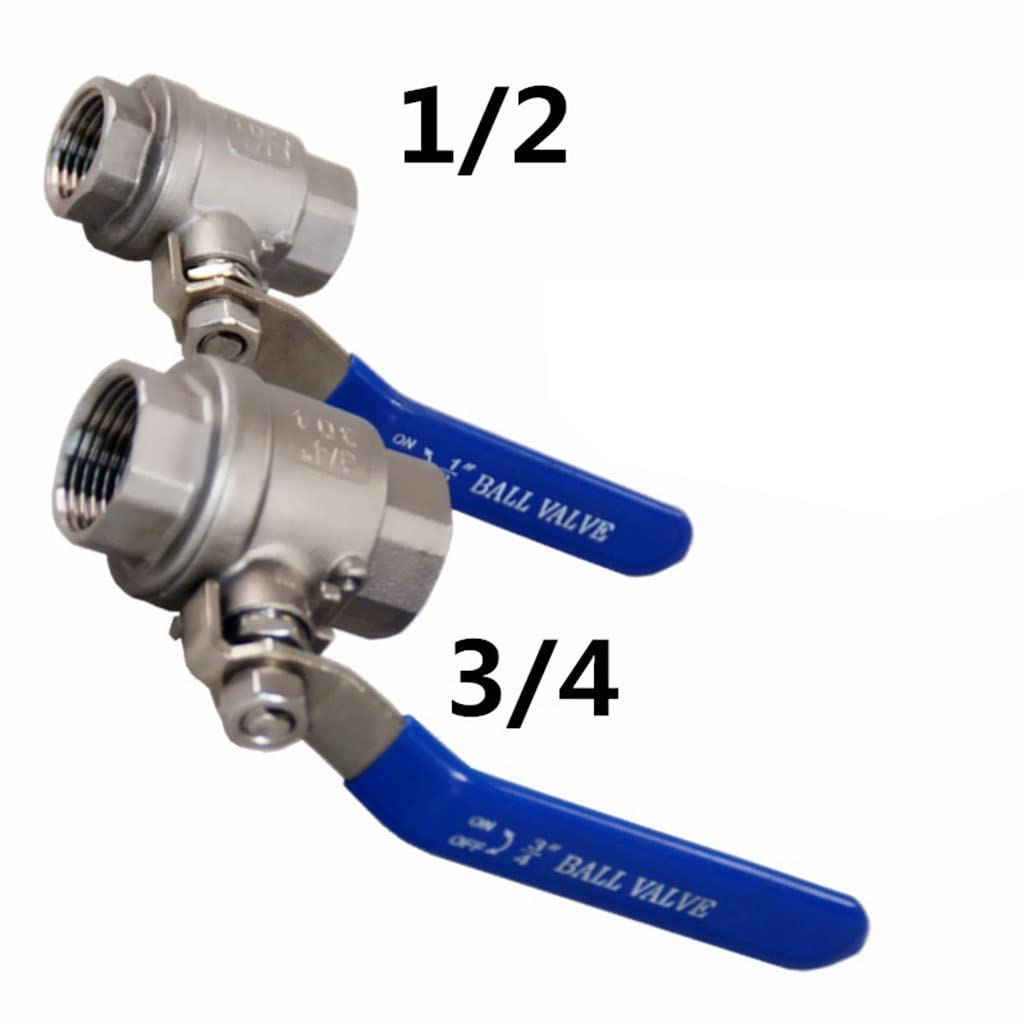 Silver King 23409 Cap Body Valve