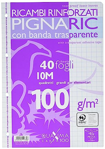 Pigna 022223710, Ricambio con Banda Rinforzata