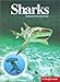 Sharks (A Firefly Guide)
