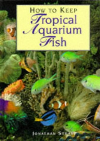 How To Keep Tropical Aquarium Fish