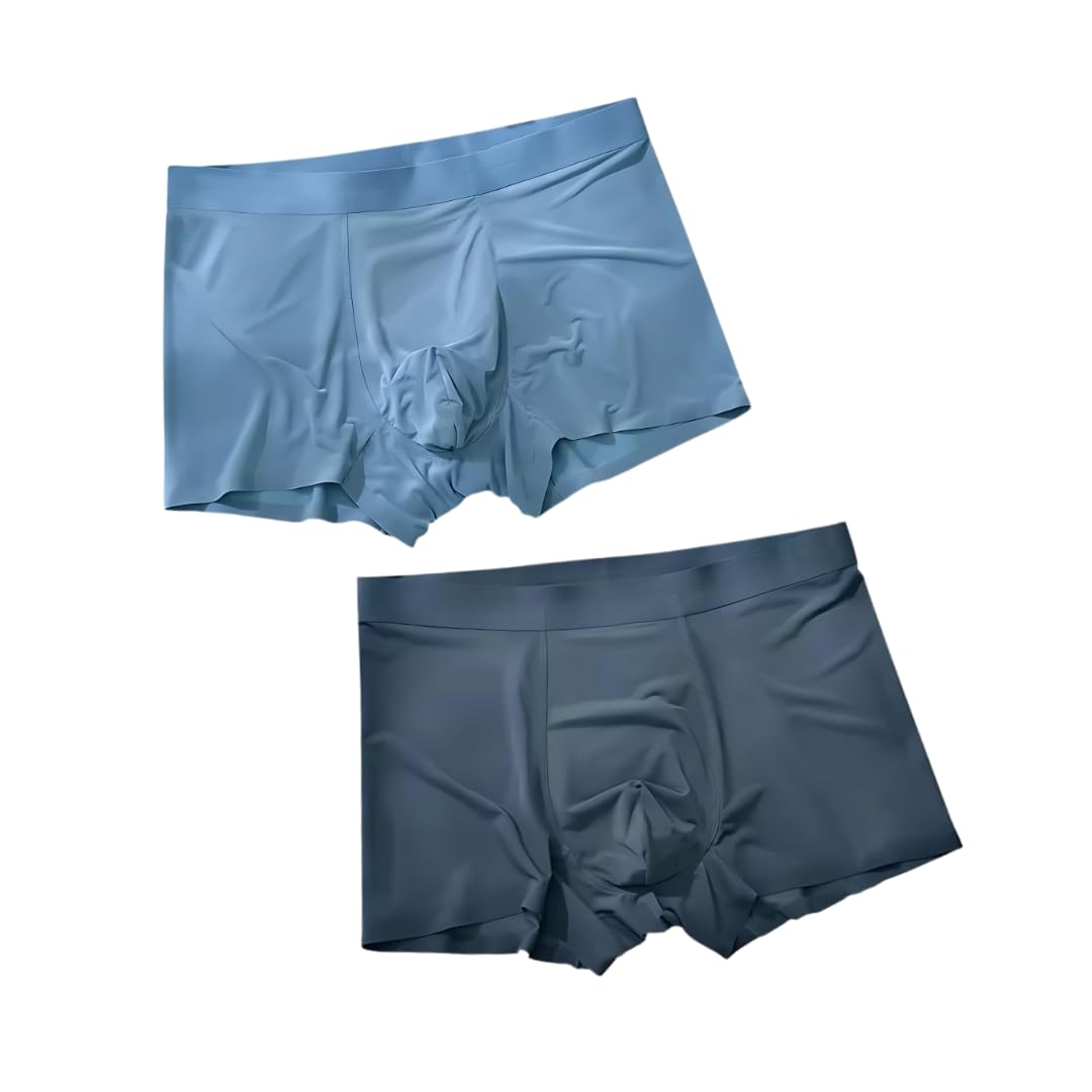 Ice-Silk Men's Brief Comfortable Breathable Underwear for Men |Ultra-Soft Lycra Material | Multi Colour [ Pack of 2]