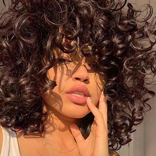 PORSMEER Curly Afro Dark Brown Wigs for Black Women Natural Synthetic Hair Wig with Fringe Kinky Big Wave Full Wig for Cosplay Party Darily Wear