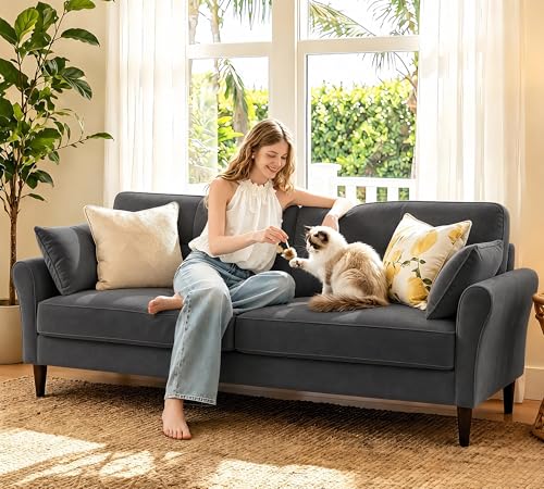 Image of Loveseat Sofa, 69 inch Love Seat Couches, Comfy Velvet Small Couches for Small Spaces with 2 Pillows, Tool-Free Setup Sofas & Couches, 700lb Load Sofas for Living Room, Mini Couch for Bedroom, Charcoal
