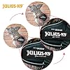 Julius-K9, 16IDC-ANT-M, IDC Powerharness, Dog Harness, Size: Mini, Anthracite