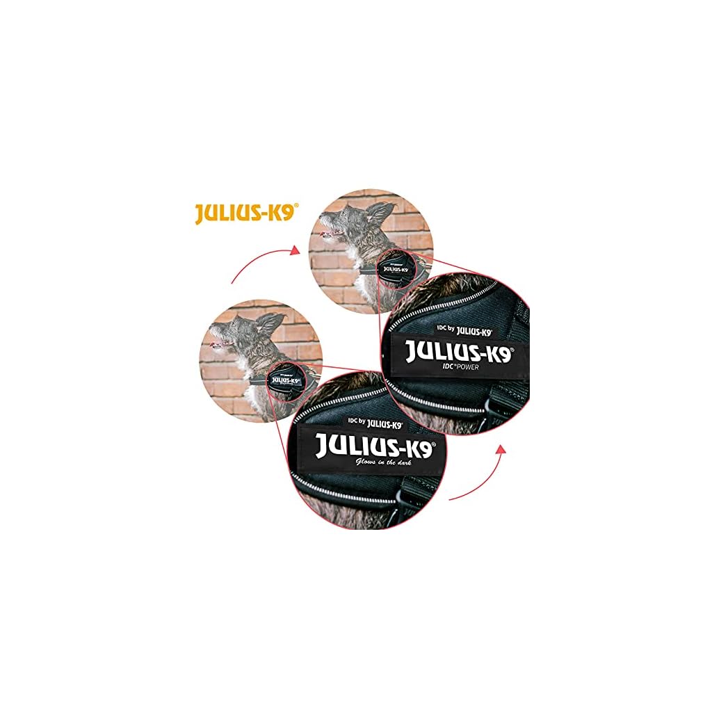 Personalized Name Patches For Dog Harness Dog ID Tag Replacement Badge K9 Type E - Foto 7