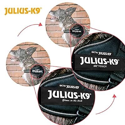 Julius-K9, 16IDC-ANT-M, IDC Powerharness, Dog Harness, Size: Mini, Anthracite