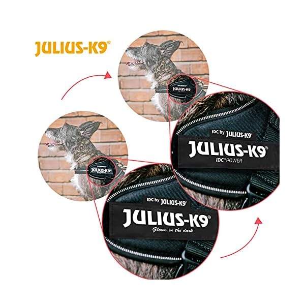 Trixie Julius-K9, 16IDC-C, IDC-Powergeschirr, Camouflage, Mini, Camouflage Trixie Julius-K9, 16IDC-C, IDC-Powergeschirr, Camouflage, Mini, Camouflage