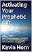 Activating Your Prophetic Gift: Seven Steps to Prepare Yourself to Hear the Voice of God Through Visions, Dreams, and Prophecy