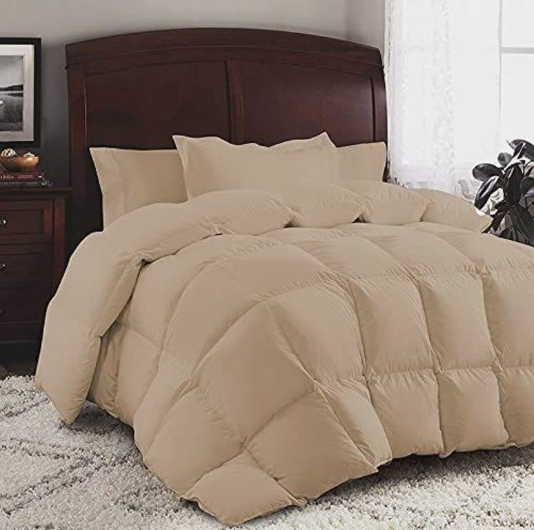 Luxurious 1000 Thread Count California King Size 1 Piece Comforter (500GSM Microfiber Fill) 100% Egyptian Cotton Beige Solid - (94