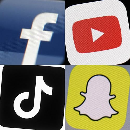 Free speech and consequences, new data on Alligator Alcatraz, PolitiFact and more Titelbild