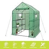 Deluxe Green House 56" W x 56" D x 77" H,Walk in Outdoor Plant Gardening Greenhouse 2 Tiers 8 Shelve