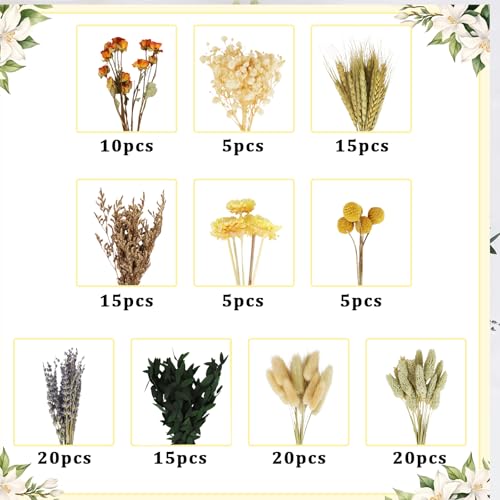 Set de flores secas naturales DIY, 130 piezas variadas miniatura 2