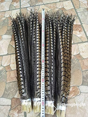 Miniatura 3 de Maslin 10pcs Original Natural Lady Amherst Pheasant Plumas 4-48inch10-120cm Decorativo Performance Accesorios Carnaval