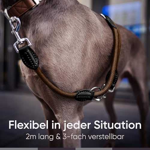FREUDENTIER Hundeleine 3m verstellbar - Umhängeleine Hund - Führleine zum Umhängen für mittelgroße & große Hunde (braun)