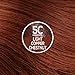 Naturtint Permanent Hair Color 5C Light Copper Chestnut (Pack of 1), Ammonia Free, Vegan, Cruelty Free, up to 100% Gray Coverage, Long Lasting Results