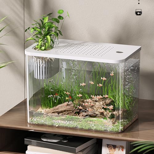 Acuario resistente a los golpes con tapa para espacios pequeños 8
