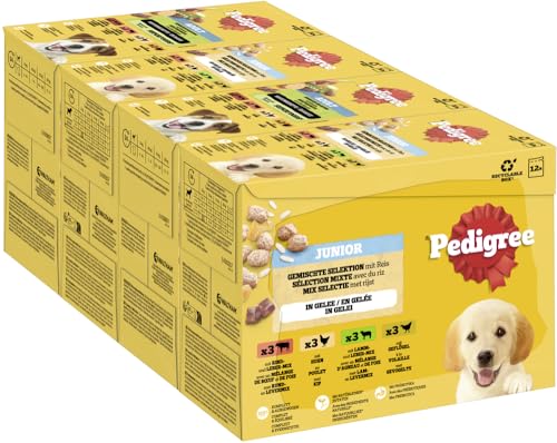 Pedigree DOGCARE Hundefutter Portionsbeutel Chunks in Gelee Junior 4 x 12 x 100g