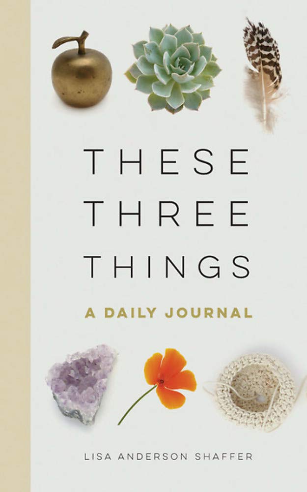 These Three Things: A Daily Journal