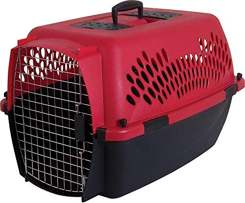 Petmate Pet Porter Fashion Dog Kennel 26', Parisian Blue & Black, for Pets 20-25lbs, Made in USA