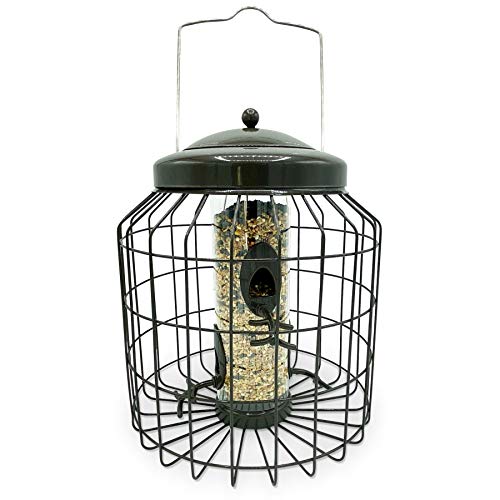 Large Heavy Duty Squirrel Proof Bird Feeder for Wild Seed Feed Mix