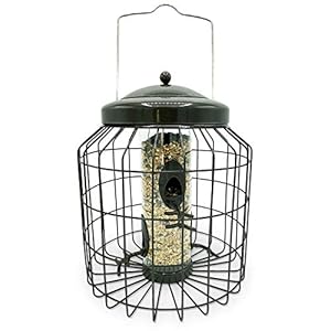 Large Heavy Duty Squirrel Proof Bird Feeder for Wild Seed Feed Mix Outdoor Garden use – Mocha Brown – with Strong Galvanised Metal Cage to Deter Squirrels & Large Birds