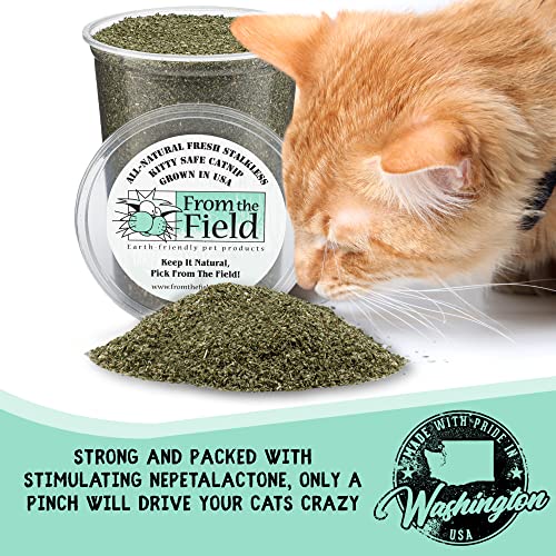 From The Field Catnip For Cats – All Natural Cat Nip, Finely Ground Without Stalks Or Stems, Resealable – Fresh, Potent And Grown In The Usa Promotes Cat Exercise, Play And Engagement [Size Variation] #TOP4