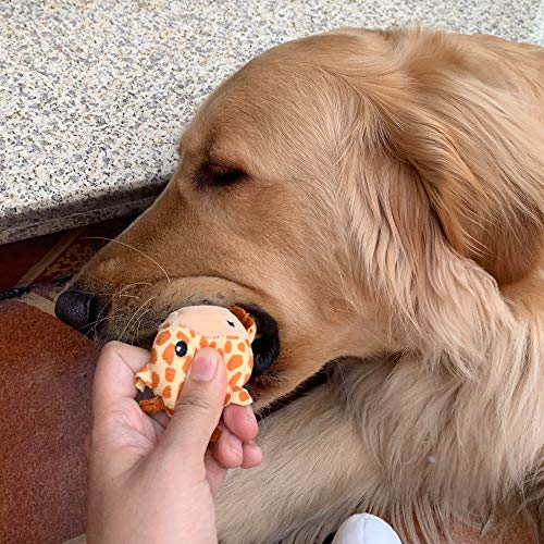 Jalousie 12 Pack Plush Animal Dog Toy Dog Squeaky Toys Cute Pet Plush Toys Stuffed Puppy Chew Toys For Small Medium Dog Puppy Pets - Bulk Dog Toys (12 Pack Animal) #TOP3