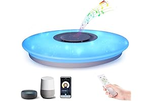 Ultra-Smart Wi-Fi Music Starlight: Light Up Your Space with Synced Melodies