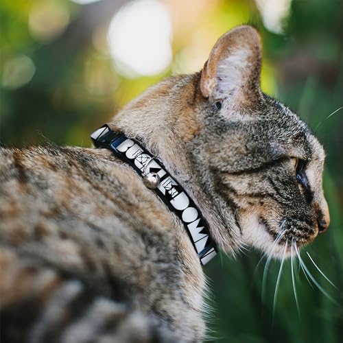 Collar para gato Buckle-Down BAC-W32872-NM de 1.27 cm ajustable mediano 3