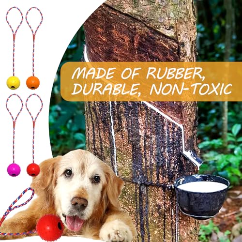 4 Ball mit Schnur Hund, ø 5/30 cm Wurfball am Seil Naturkautschuk, Hundespielzeug Ball mit Seil extrem Weite Würfe, Hundeball Snackball, Hundebälle Kleine Hunde, Große Hunde (Rot Gelb Blau Orange)