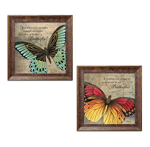 Inspirational Butterfly "If Nothing Ever Changed There Would Be No