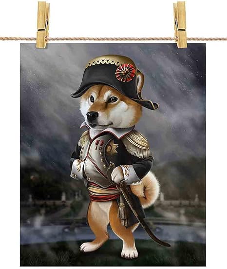 Amazon Fox Republic 犬 いぬ 柴犬 しばいぬ ナポレオン フランス ポストカード はがき 白背景 ポストカード 絵柄付はがき 文房具 オフィス用品