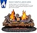 Duluth Forge DLS-24R-1 Dual Fuel Ventless Fireplace Logs Set with Remote Control, Use with Natural Gas or Liquid Propane, 33000 BTU, Berkshire Split Oak, 24 Inches