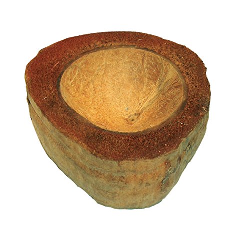 Namiba Terra 0413 Coco Bowl, rund, Kokosnuss-Wasserschale