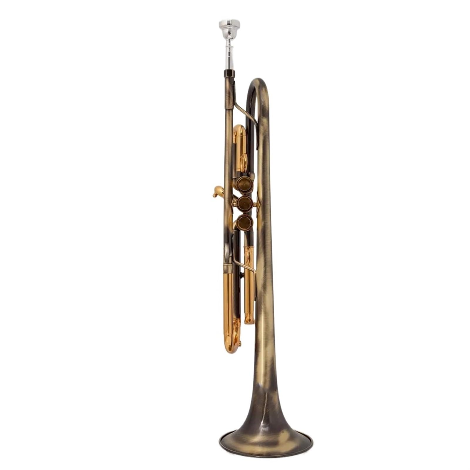 Standardowa Trąbka Instrument Instrumenty Muzyczne Mosiężna Trąbka Bb Powierzchnia Miedziana Mała Trąbka Bb Początkujący Grają I Ćwiczą