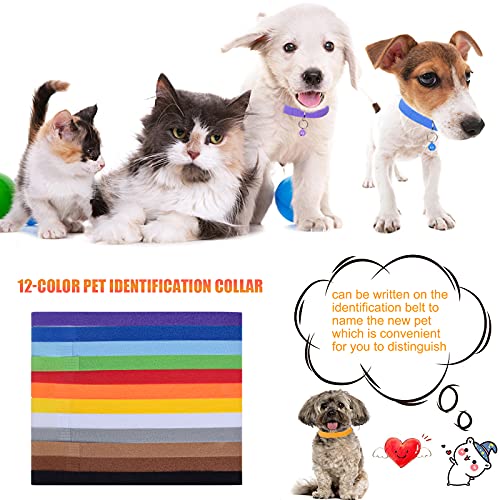 KYSUN 12 Pezzi Collarini Regolabili, Collare