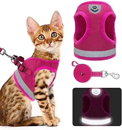 amazon cat harness leash