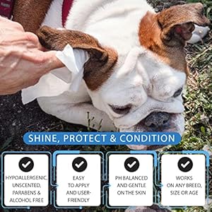 Tetesol Dog Wipes for Dogs Cats, All Purpose Cleaning Pet Wipes, Dog Ear Wipes, Quick Easy Grooming for Bums, Body, Paws, Eyes, for A Easy & Speedy Freshen-Up, 4 Travel Pack of 400 Wipes